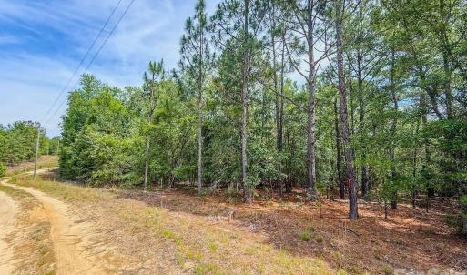 Photo #17 of Hwy 1, Patrick, SC