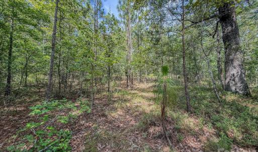 Photo #7 of Hwy 1, Patrick, SC
