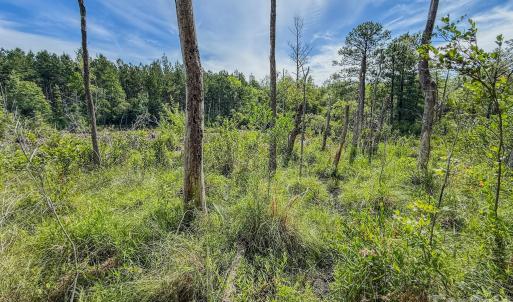 Photo #12 of Hwy 1, Patrick, SC