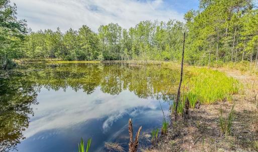 Photo #4 of Hwy 1, Patrick, SC