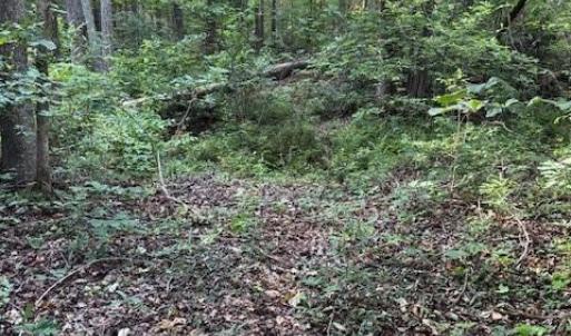 Photo #3 of Lockhart, Landrum, SC