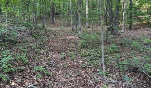 Photo #5 of Lockhart, Landrum, SC