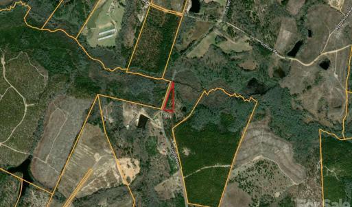 Photo #17 of Steen, Mount Croghan, SC