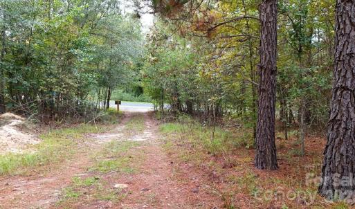 Photo #9 of Steen, Mount Croghan, SC