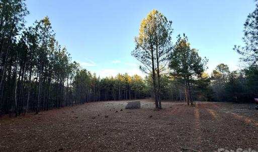 Photo #14 of Steen, Mount Croghan, SC
