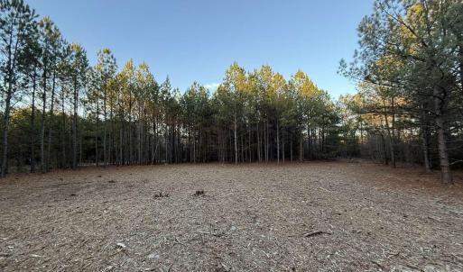 Photo #15 of Steen, Mount Croghan, SC