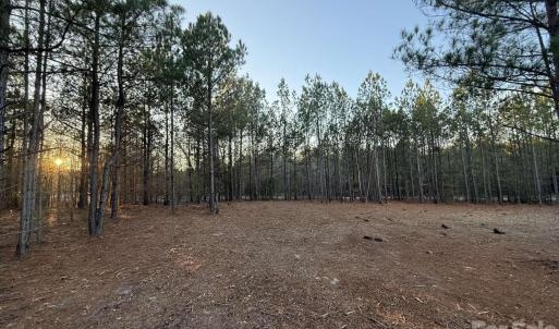 Photo #12 of Steen, Mount Croghan, SC