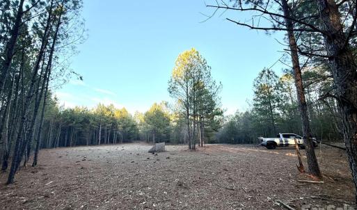 Photo #10 of Steen, Mount Croghan, SC
