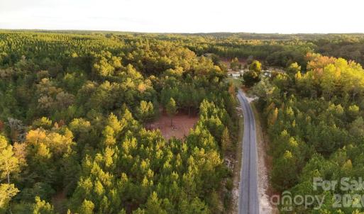 Photo #11 of Steen, Mount Croghan, SC