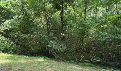 Photo #2 of 9562 Regent, Davidson, NC
