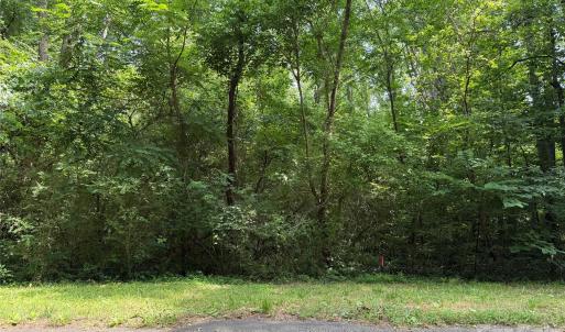 Photo #1 of 9562 Regent, Davidson, NC