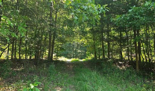 Photo #1 of 16.70ac Providence, Waxhaw, NC
