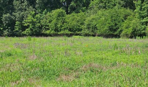 Photo #2 of 16.70ac Providence, Waxhaw, NC