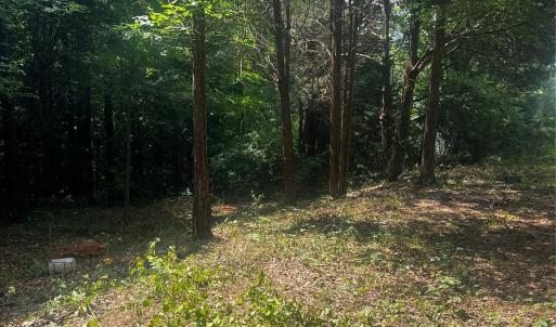 Photo #11 of 10376 Turnplow, Davidson, NC
