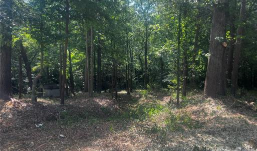 Photo #8 of 10376 Turnplow, Davidson, NC