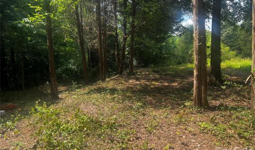 Photo #5 of 10376 Turnplow, Davidson, NC