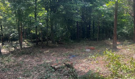 Photo #9 of 10376 Turnplow, Davidson, NC