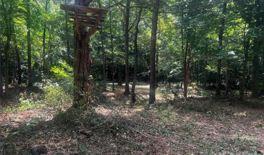 Photo #10 of 10376 Turnplow, Davidson, NC