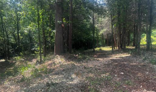 Photo #4 of 10376 Turnplow, Davidson, NC