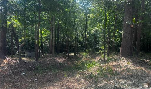Photo #7 of 10376 Turnplow, Davidson, NC