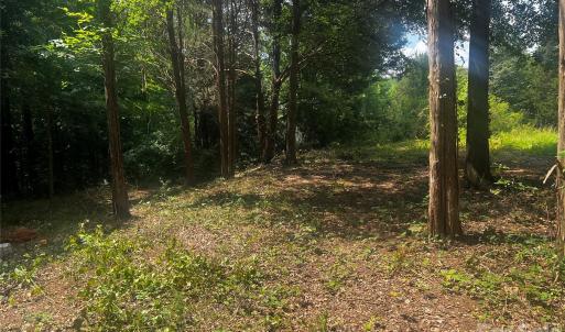 Photo #4 of 10376 Turnplow, Davidson, NC