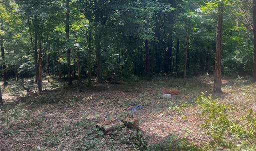 Photo #5 of 10376 Turnplow, Davidson, NC