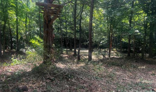 Photo #9 of 10376 Turnplow, Davidson, NC