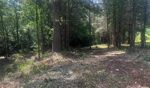 Photo #3 of 10376 Turnplow, Davidson, NC