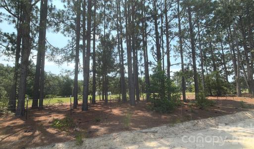 Photo #19 of 809 Campbell, Jefferson, SC
