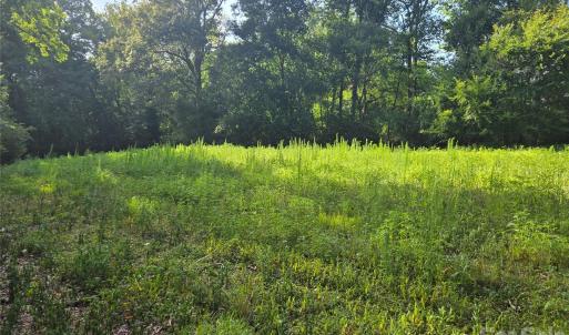 Photo #33 of 3904 Lucy Shortcut, Marshville, NC