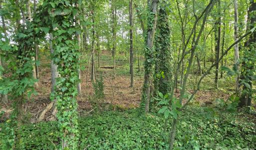 Photo #32 of 3904 Lucy Shortcut, Marshville, NC