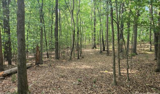 Photo #45 of 3904 Lucy Shortcut, Marshville, NC
