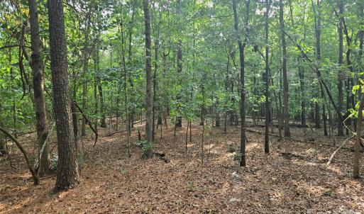 Photo #42 of 3904 Lucy Shortcut, Marshville, NC