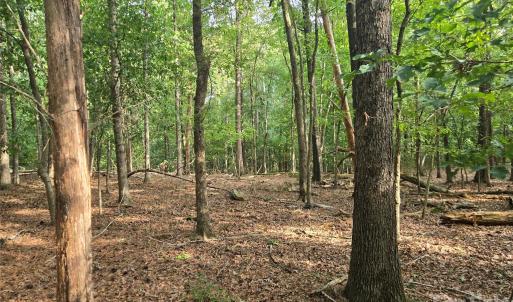 Photo #44 of 3904 Lucy Shortcut, Marshville, NC