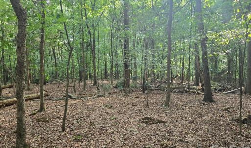 Photo #43 of 3904 Lucy Shortcut, Marshville, NC