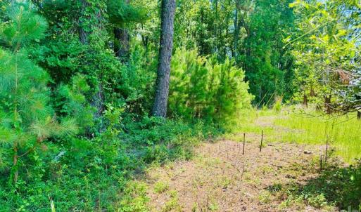 Photo #28 of 5326 Judson, Clio, SC