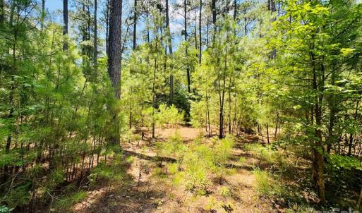 Photo #19 of 5326 Judson, Clio, SC
