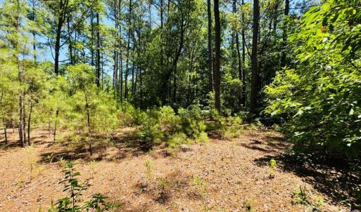 Photo #21 of 5326 Judson, Clio, SC