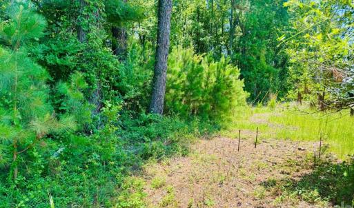 Photo #27 of 5326 Judson, Clio, SC