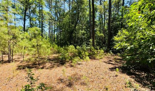 Photo #20 of 5326 Judson, Clio, SC