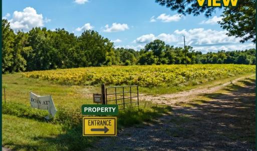 Photo #3 of Nash County Line, Castalia, NC