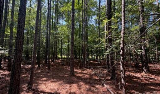 Photo #19 of 21 AC Sweet Hope Church, Carlisle, SC