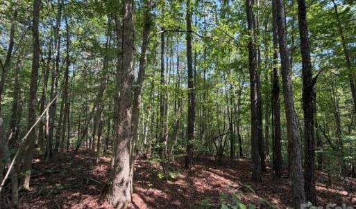 Photo #16 of 21 AC Sweet Hope Church, Carlisle, SC