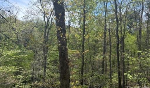 Photo #9 of 21 AC Sweet Hope Church, Carlisle, SC