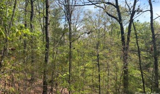 Photo #8 of 21 AC Sweet Hope Church, Carlisle, SC