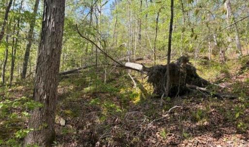Photo #7 of 21 AC Sweet Hope Church, Carlisle, SC