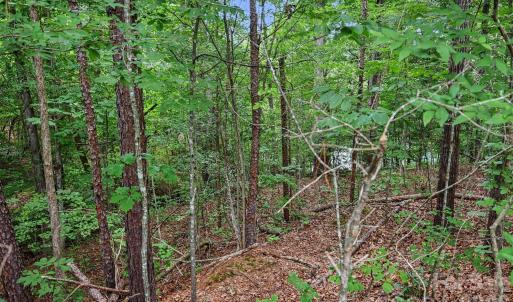 Photo #12 of 215 Spaniel, Concord, NC