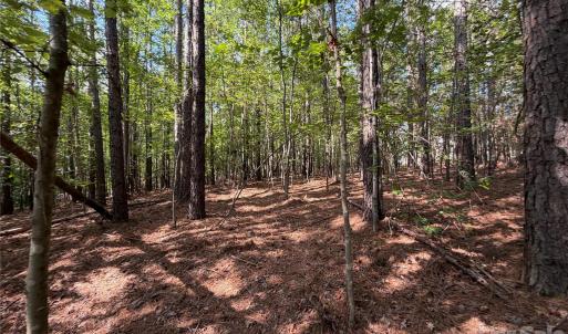 Photo #24 of 9212 Rustic Creek, Waxhaw, NC
