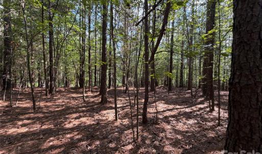 Photo #12 of 9212 Rustic Creek, Waxhaw, NC