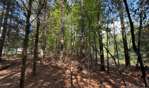 Photo #33 of 9212 Rustic Creek, Waxhaw, NC
